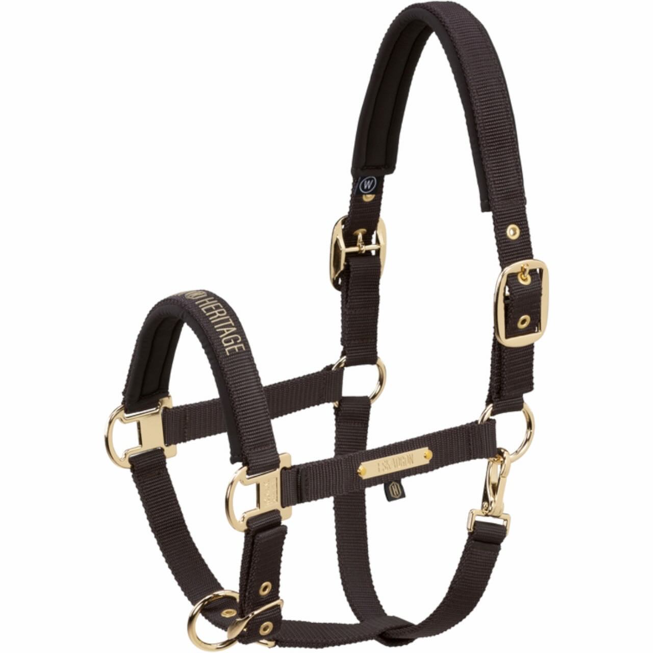 Halfter Girth Double Pin Heritage 2025 Stallhalfter