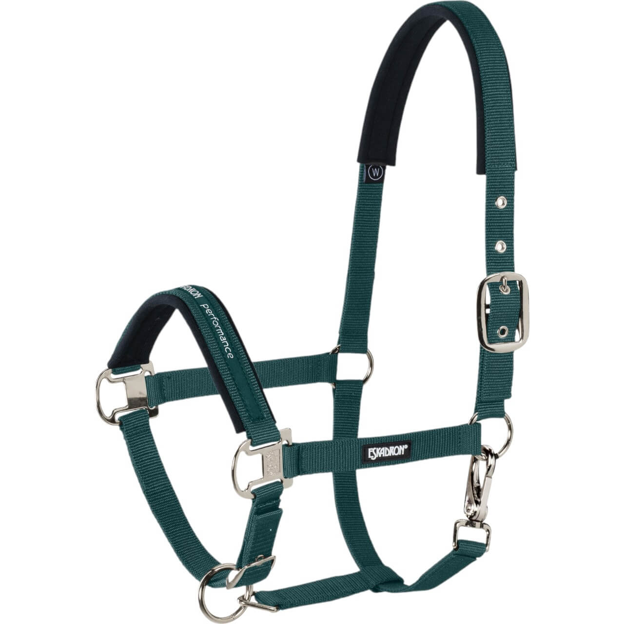 Halfter Pin Buckle Basic