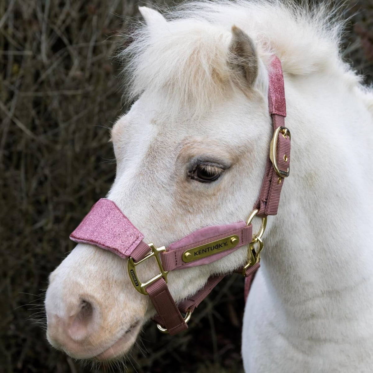 Halfter Velvet Unicorn Glitter Nylonhalfter