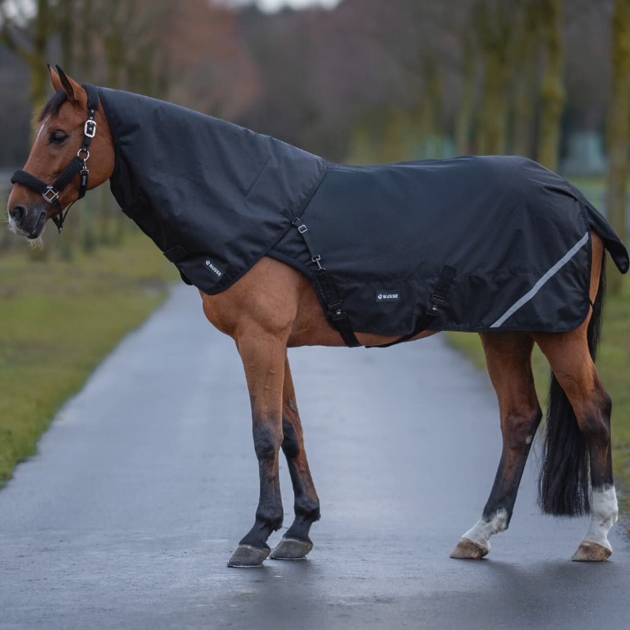 Halsteil 50g für Bewegungsdecke Rain