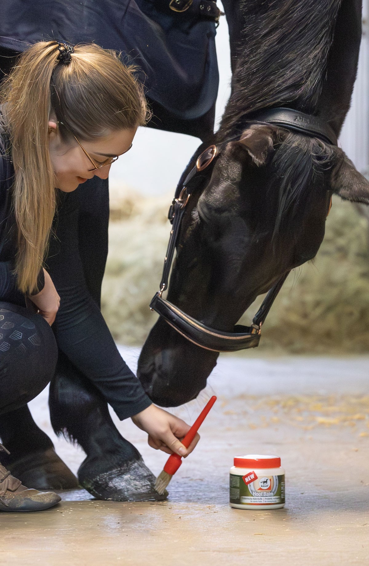 Hufpflegemittel Hoof Balm Präbiotisch Hufpflege