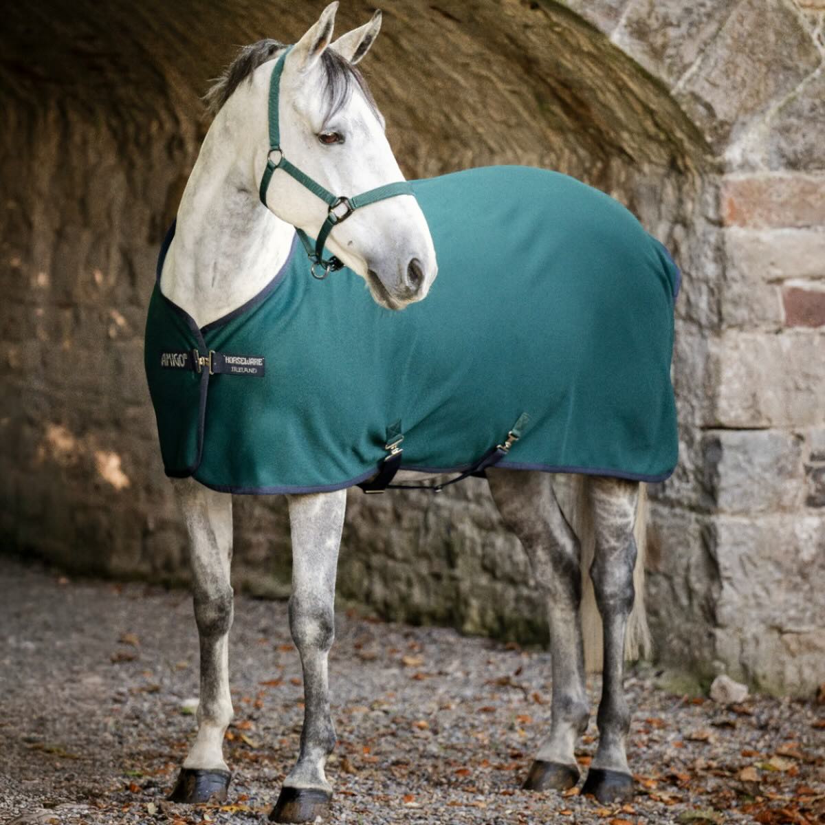 Abschwitzdecke Amigo Jersey Cooler