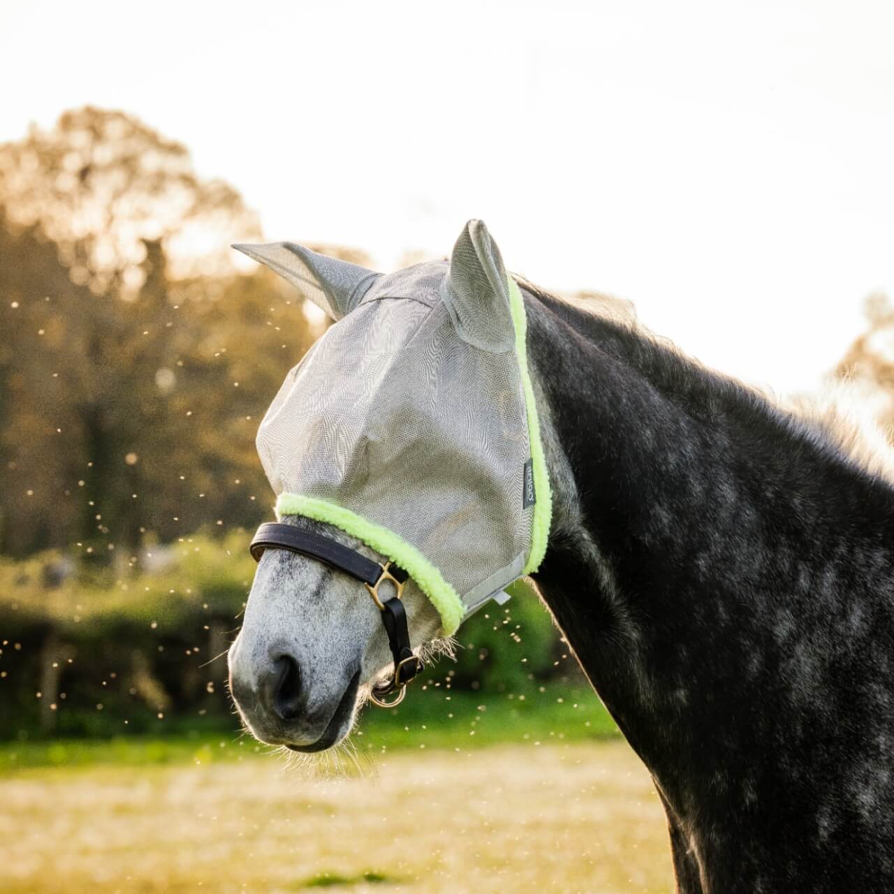 Fliegenmaske Amigo Fly Mask