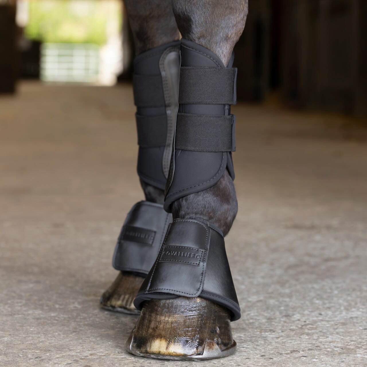 Hufglocken FS 2026 Hufschutz