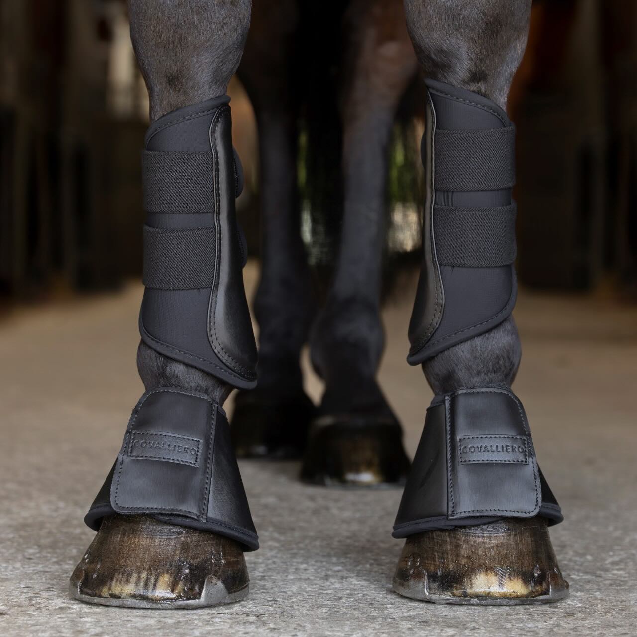 Hufglocken FS 2026 Hufschutz