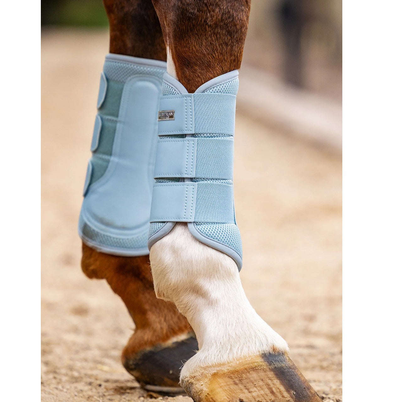 Dressurgamaschen Ice Blue Mesh Brushing Boots