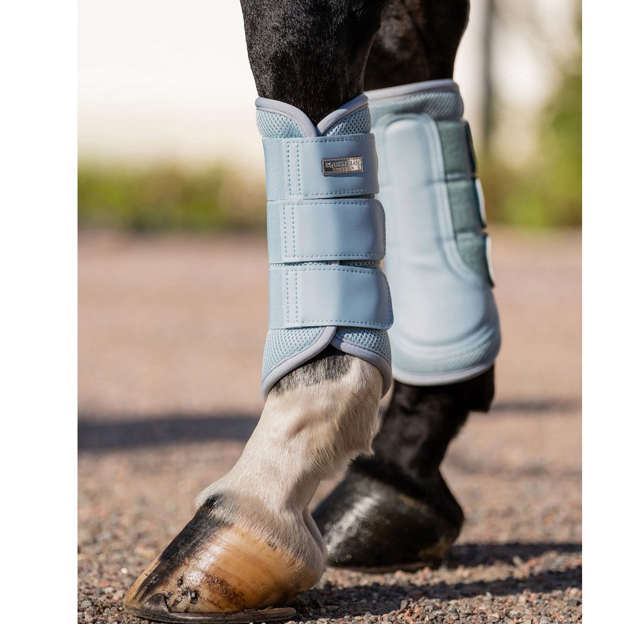 Dressurgamaschen Ice Blue Mesh Brushing Boots