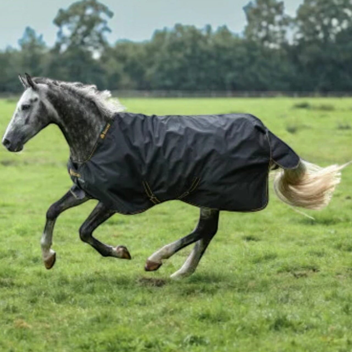 Outdoordecke 250g Irish Turnout Winterdecke