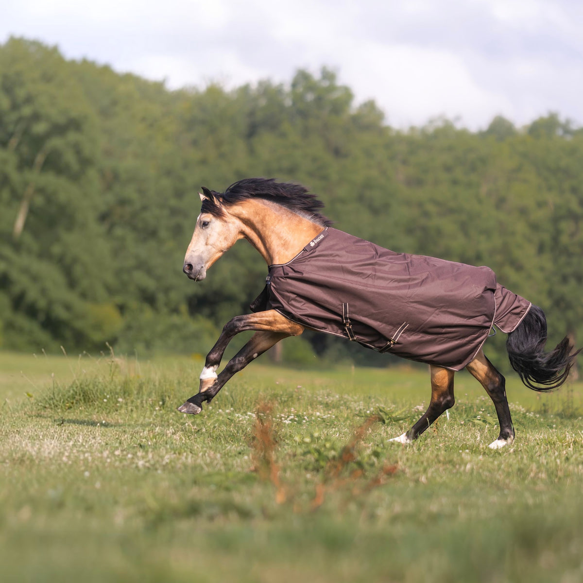 Outdoordecke 50g Irish Turnout Regendecke
