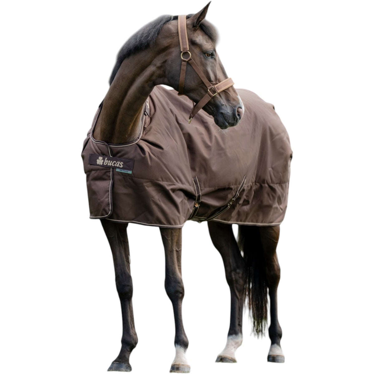 Outdoordecke 300g Irish Turnout und Halsteil Set