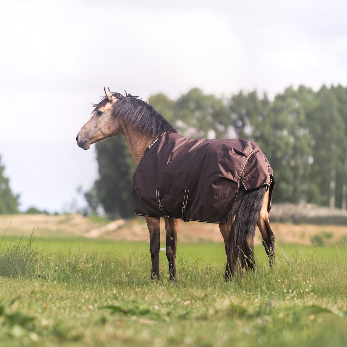 Outdoordecke 50g Irish Turnout Regendecke