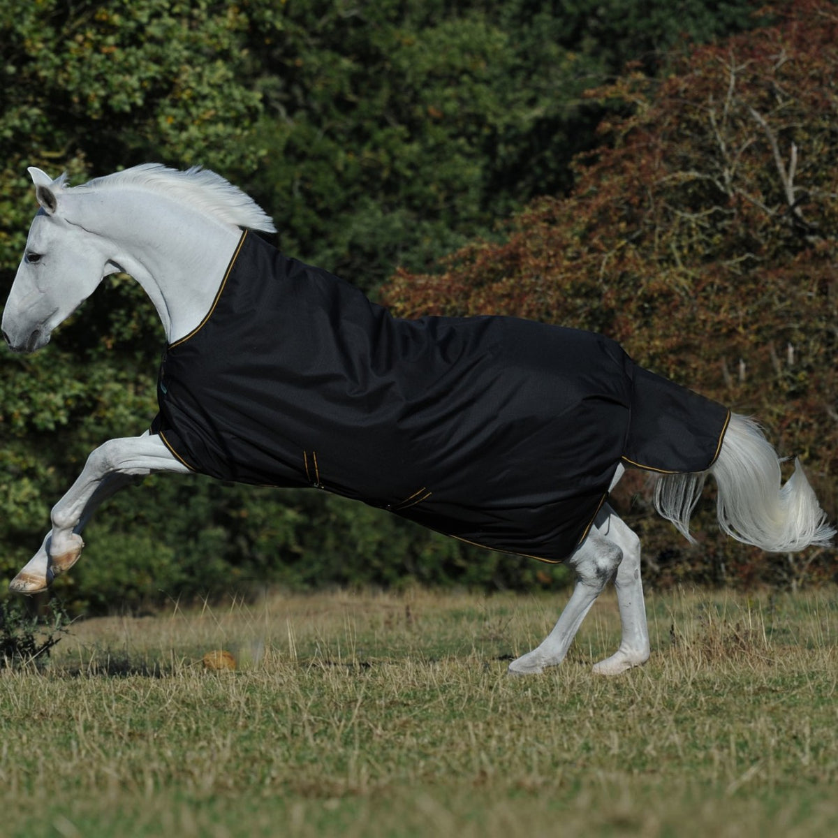 Outdoordecke 100g Irish Turnout Weidedecke