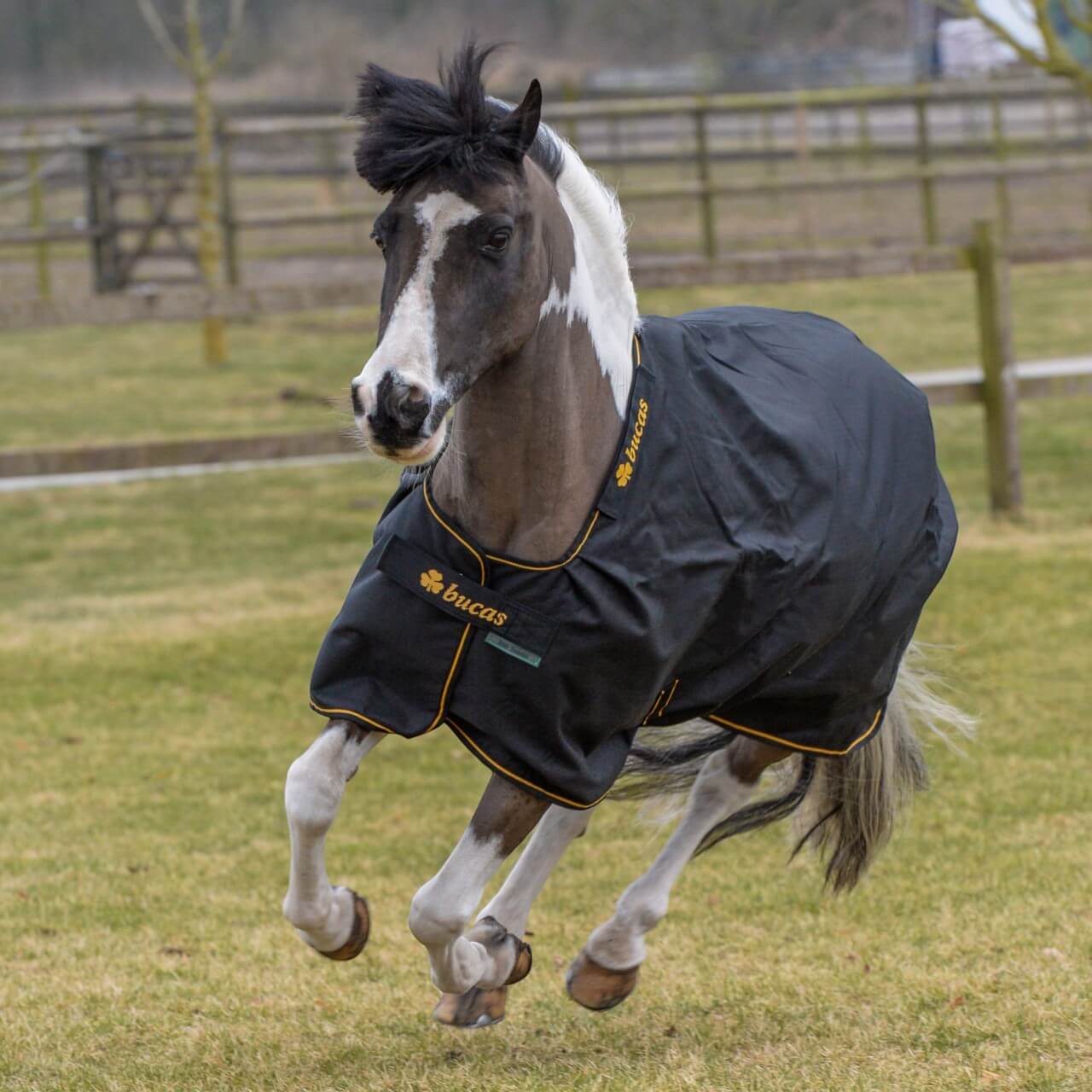Outdoordecke 300g Irish Turnout Weidedecke