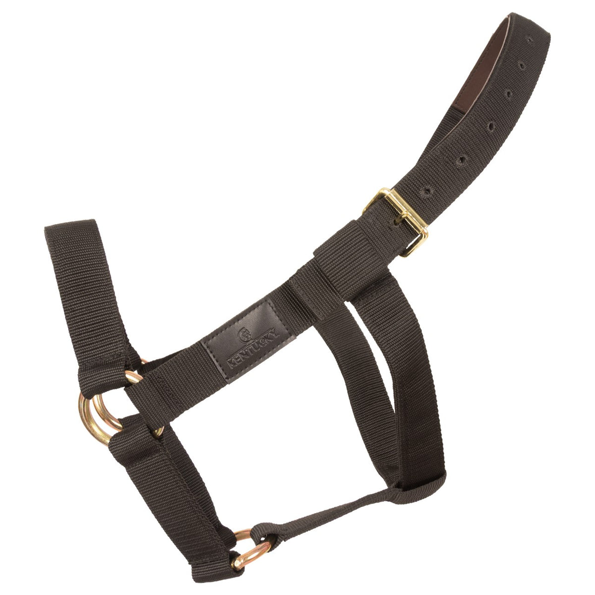 Halfter Heavy Duty Extra Stabil
