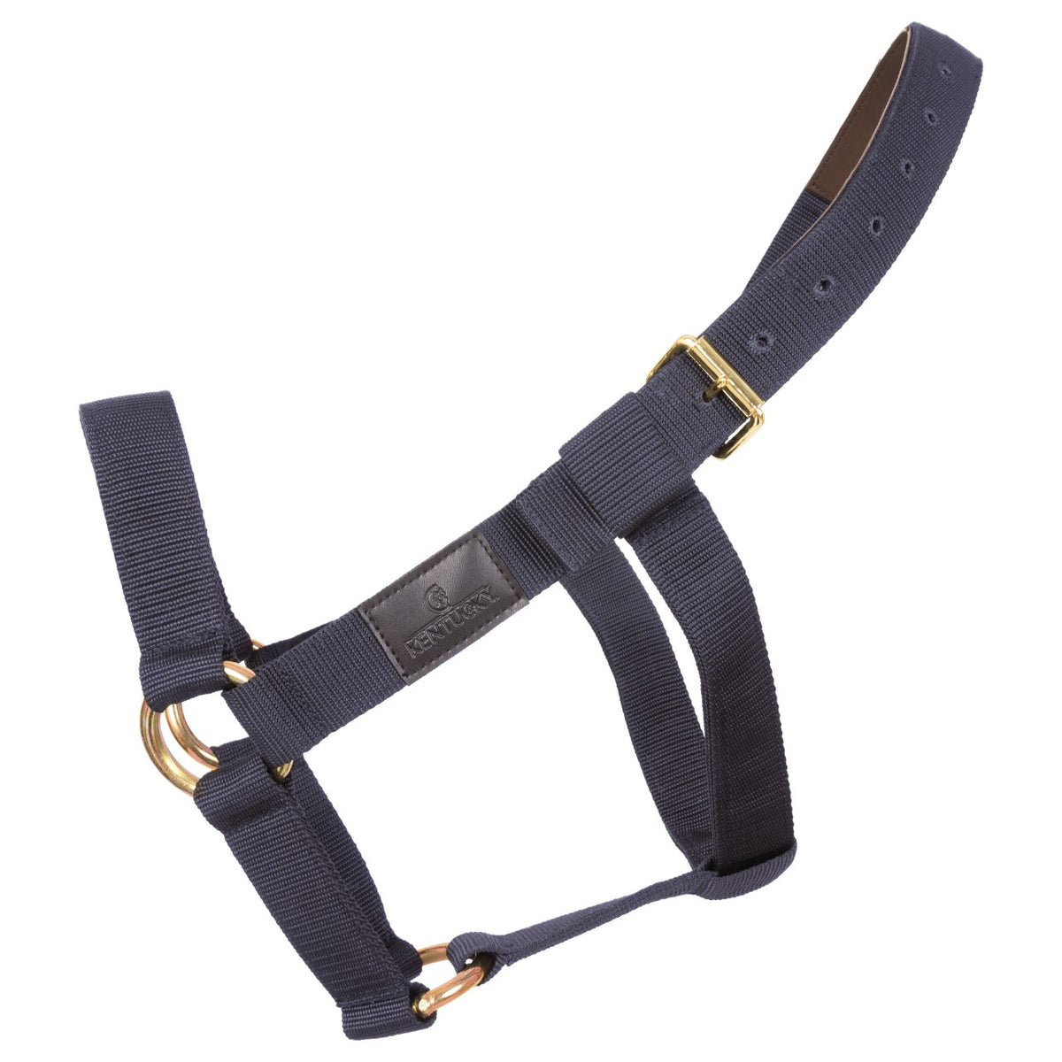 Halfter Heavy Duty Extra Stabil