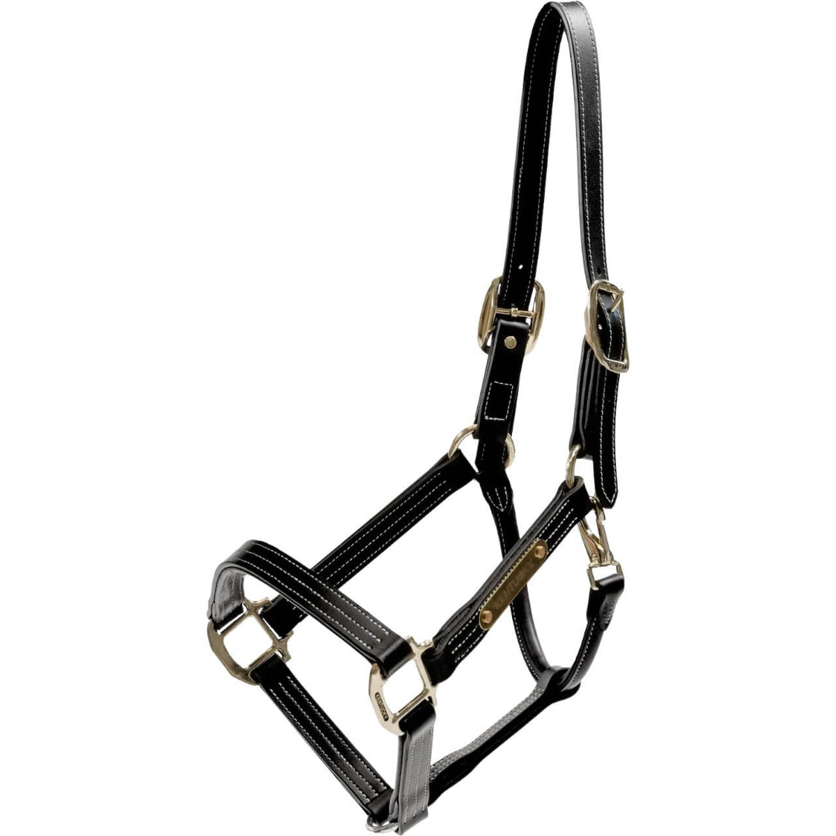 Lederhalfter Wellington Leather Halfter