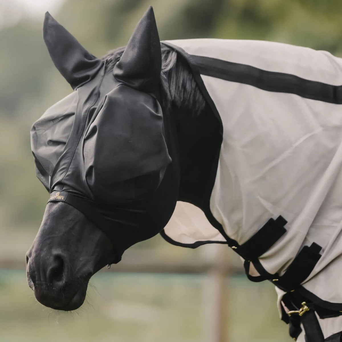 Kentucky Horsewear Fliegenmaske Slim Fit Insektenschutz, Schwarz, Pferd trägt die Fliegenmaske.