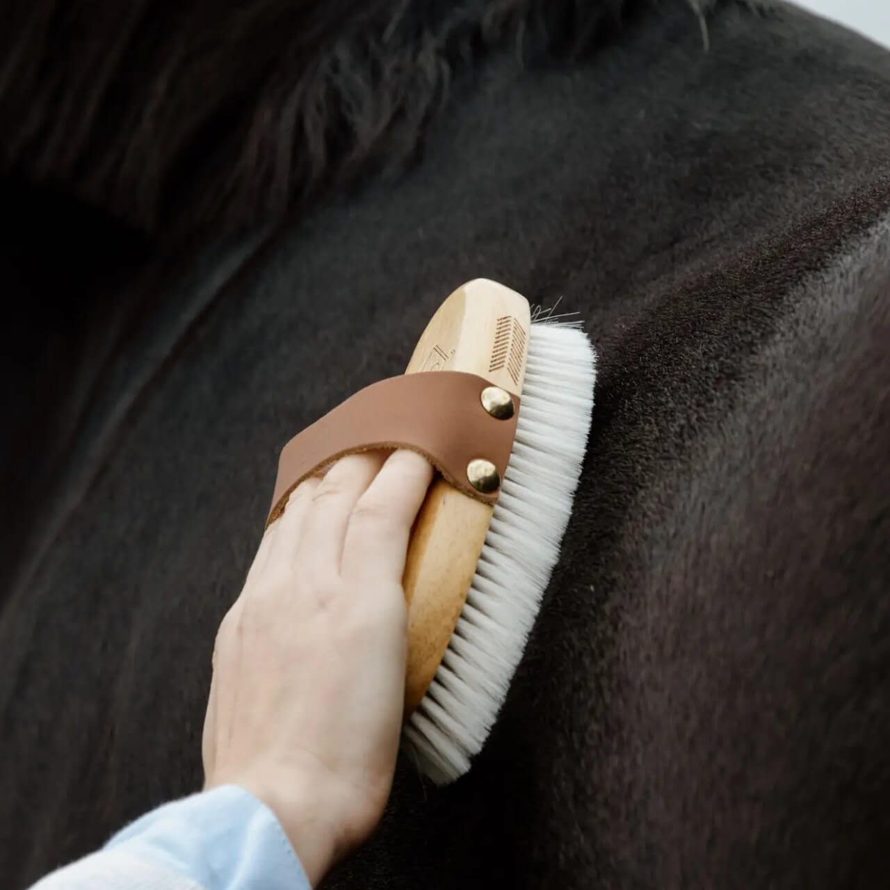 Glanzbürste Overall Brush Soft Bürste