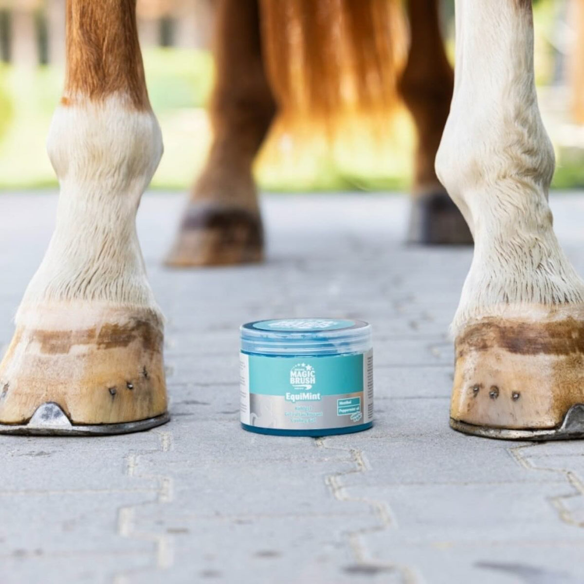 Kühlgel EquiMint Gel