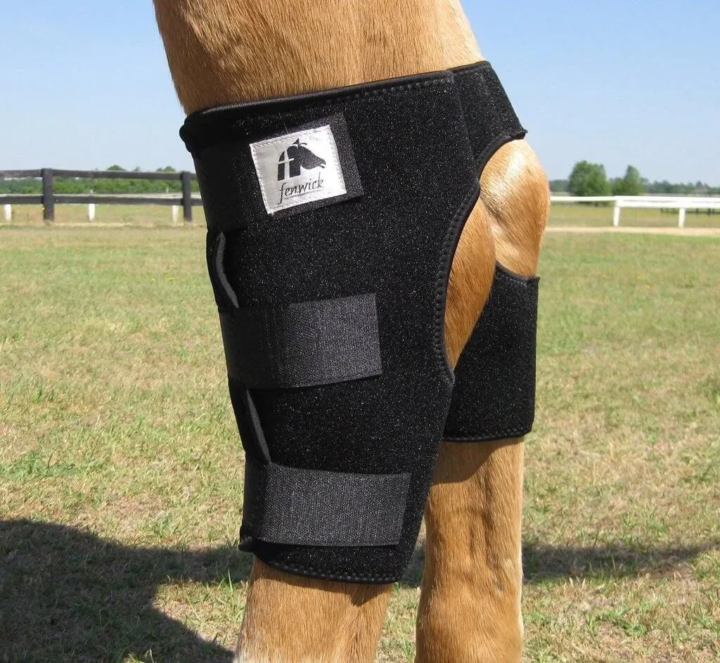 Sprunggelenkschoner Liquid Titanium Hock Wraps Gamaschen