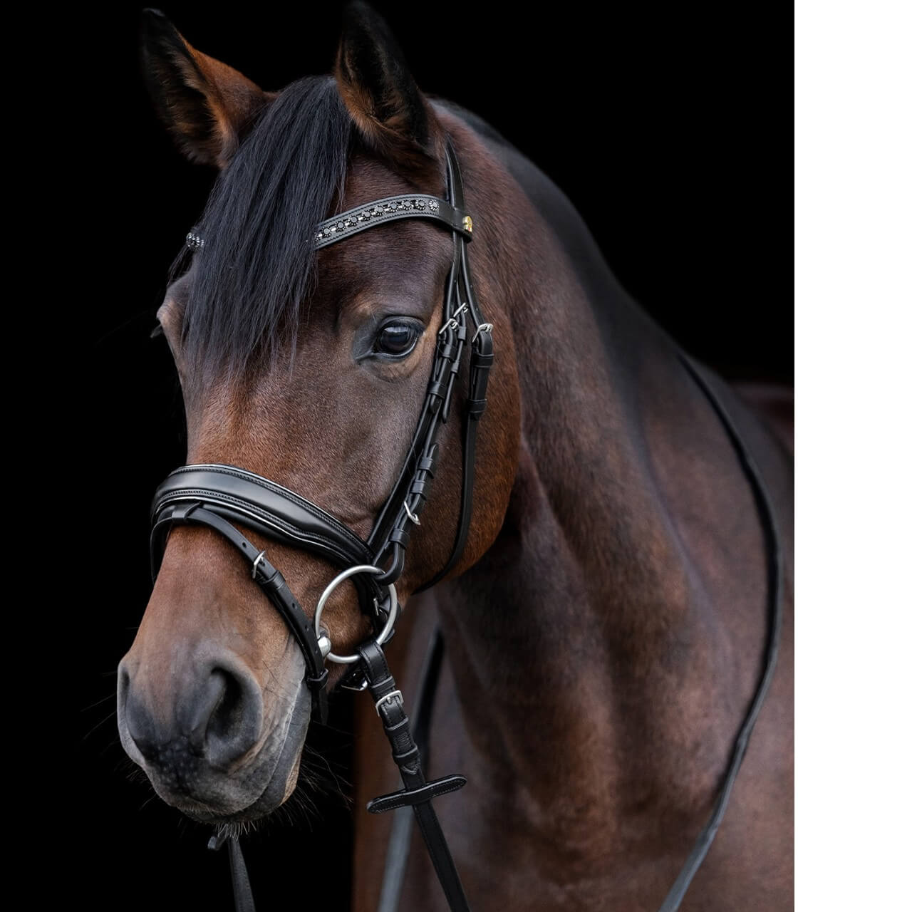 Trensenzaum S-line Blackshine Lacktrensenzaum