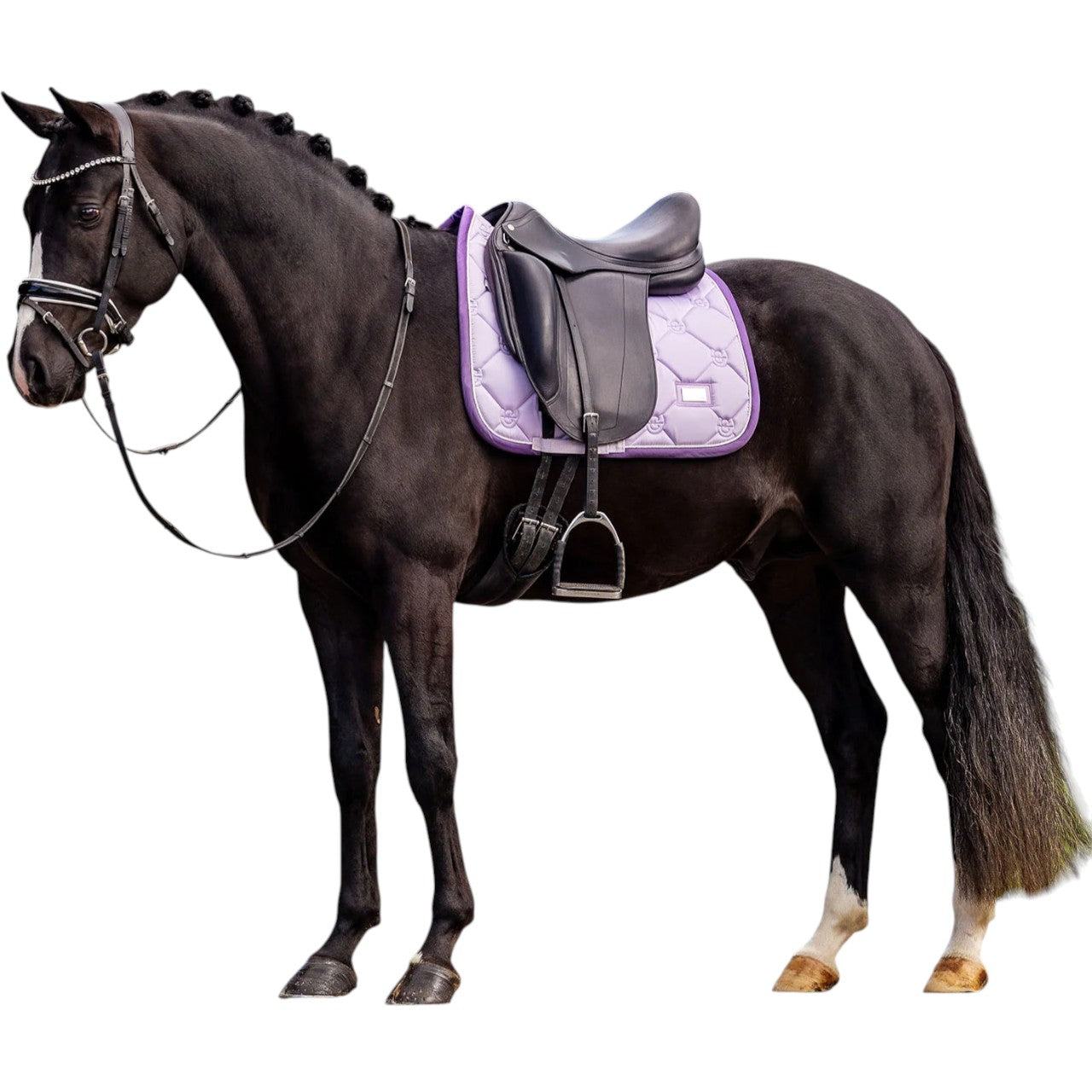 Dressurschabracke Lavender Schabracke