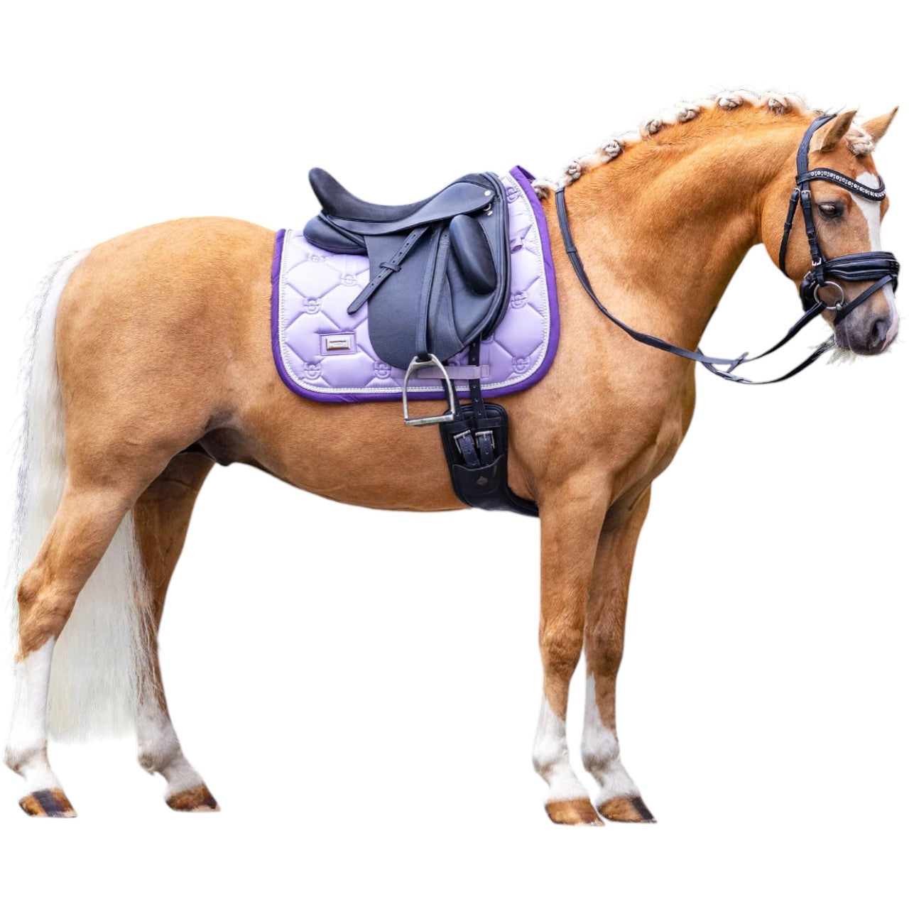 Equestrian Stockholm Dressurschabracke Lavender Pearl Schabracke, Lavender Pearl, am Pferd im Seitenprofil.