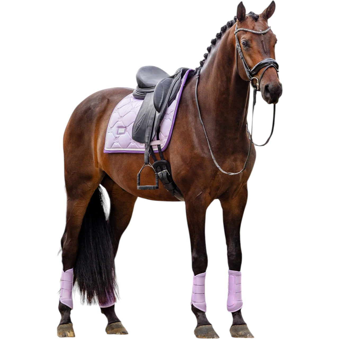 Equestrian Stockholm Dressurschabracke Lavender Pearl Schabracke, Lavender Pearl, Pferd mit Sattel und Trense.