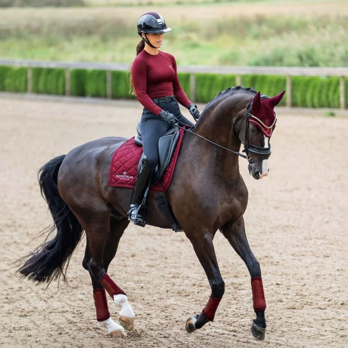 Dressurgamaschen Bordeaux Mesh Brushing Boots