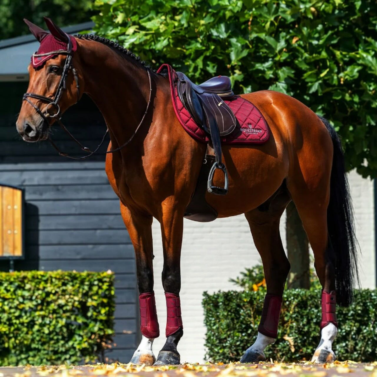 Dressurgamaschen Bordeaux Mesh Brushing Boots