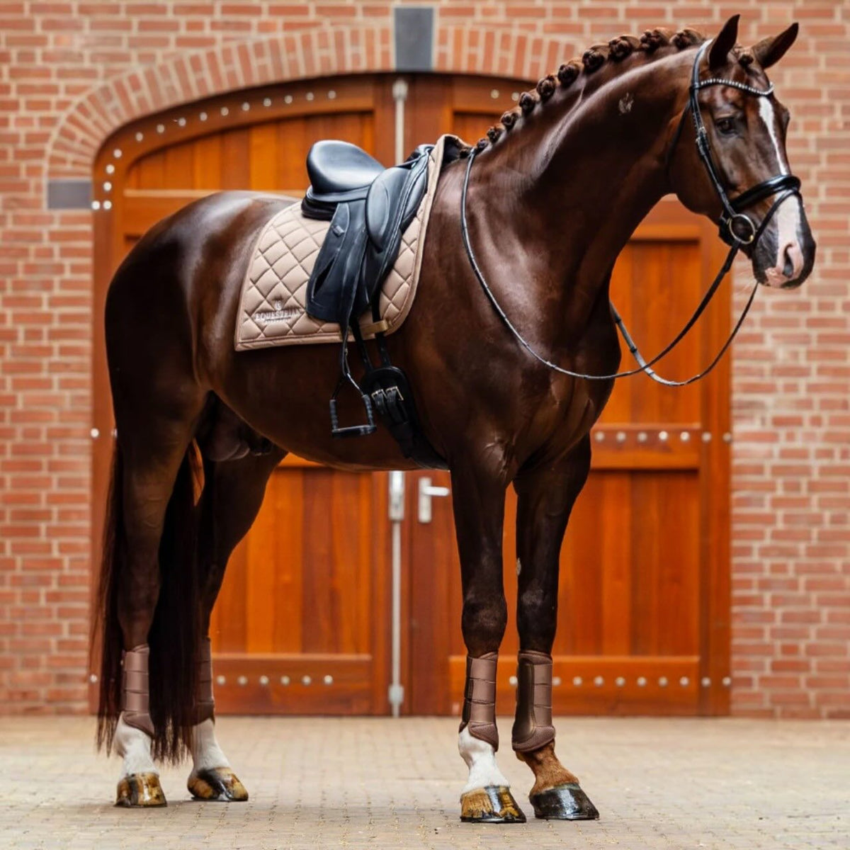 Dressurgamaschen Champagne Mesh Brushing Boots