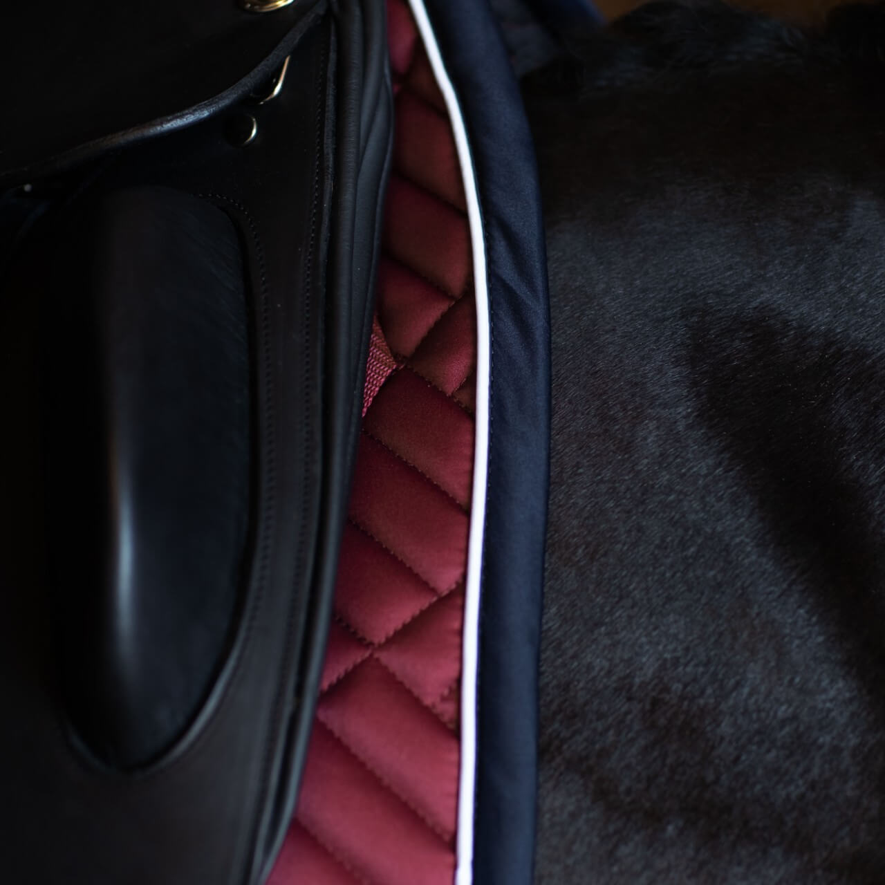 Dressurschabracke Modern Luxe Schabracke