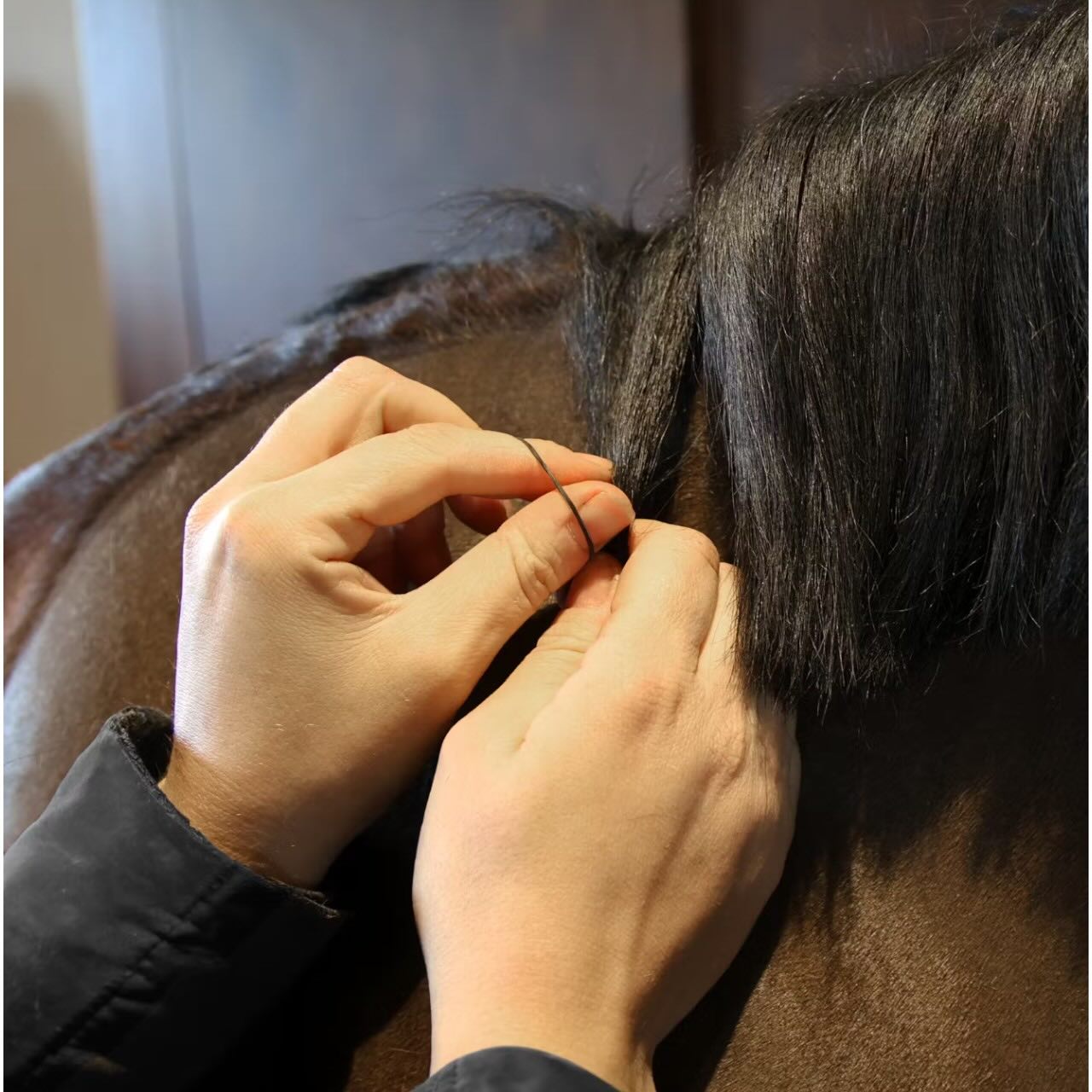 Mähnengummis Mane Rubbers