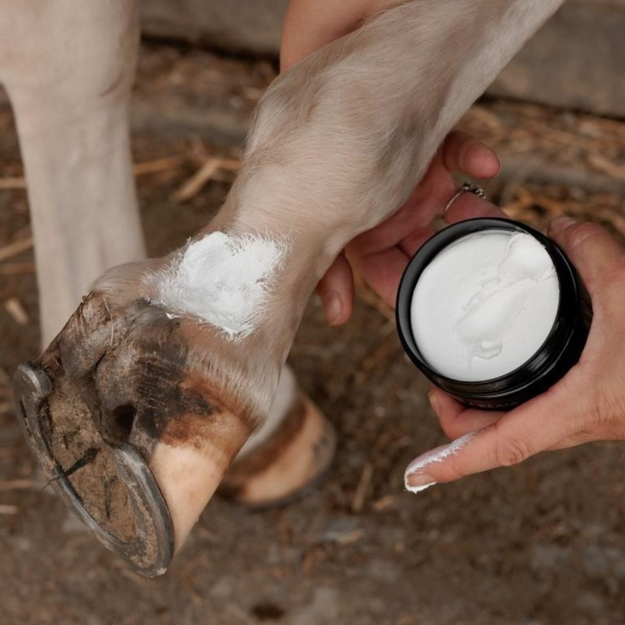 Maukecreme GD Plus Creme