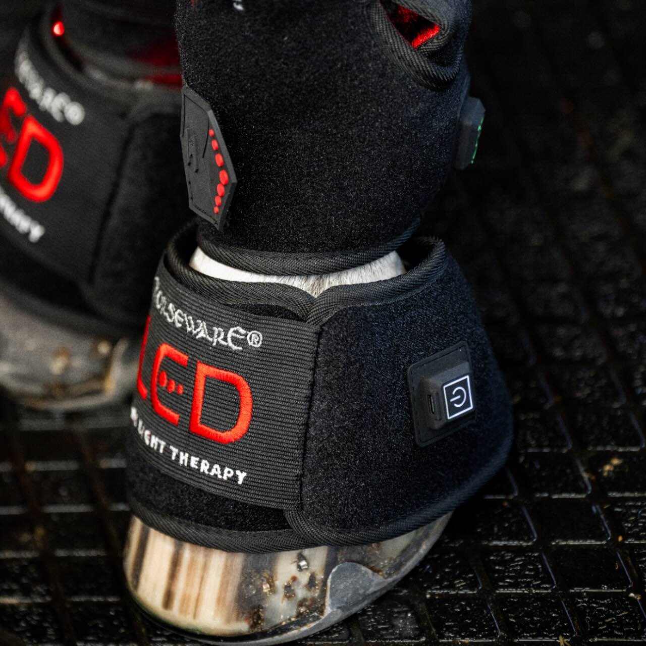 Horseware Ireland Minigamasche für LED-Rotlicht-Therapie Gamasche, Schwarz, Detailaufnahme an Pferdebein.