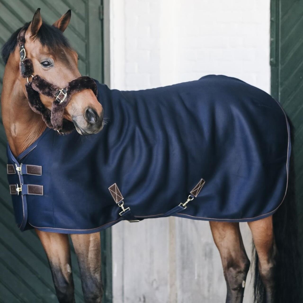 Multifunktionsdecke 3D Spacer Cooler Fleece Sheet