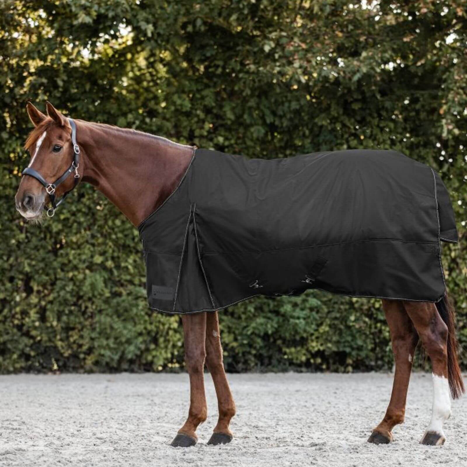 Outdoordecke 300g Nordic Weidedecke