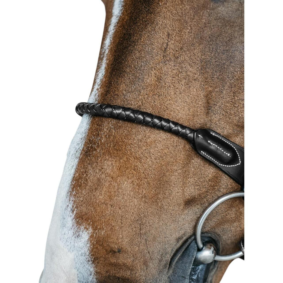 Dy'on Nasenriemen Geflochten Kombiniert D-Collection Nasenband, Schwarz, Detailaufnahme am Pferdekopf.
