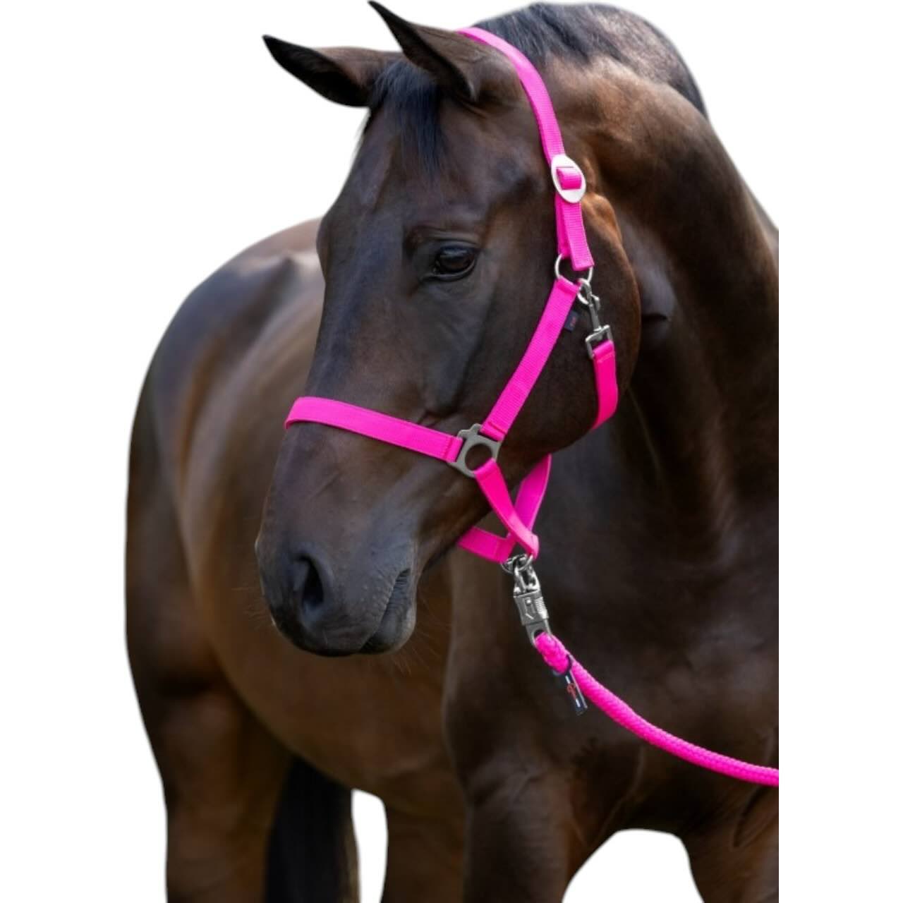 Nylonhalfter Hippo Halfter