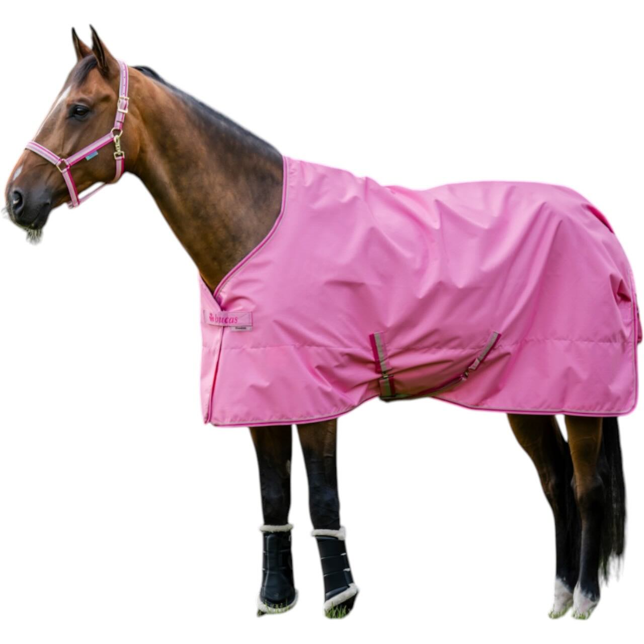 Outdoordecke 0g Freedom Turnout Light Regendecke