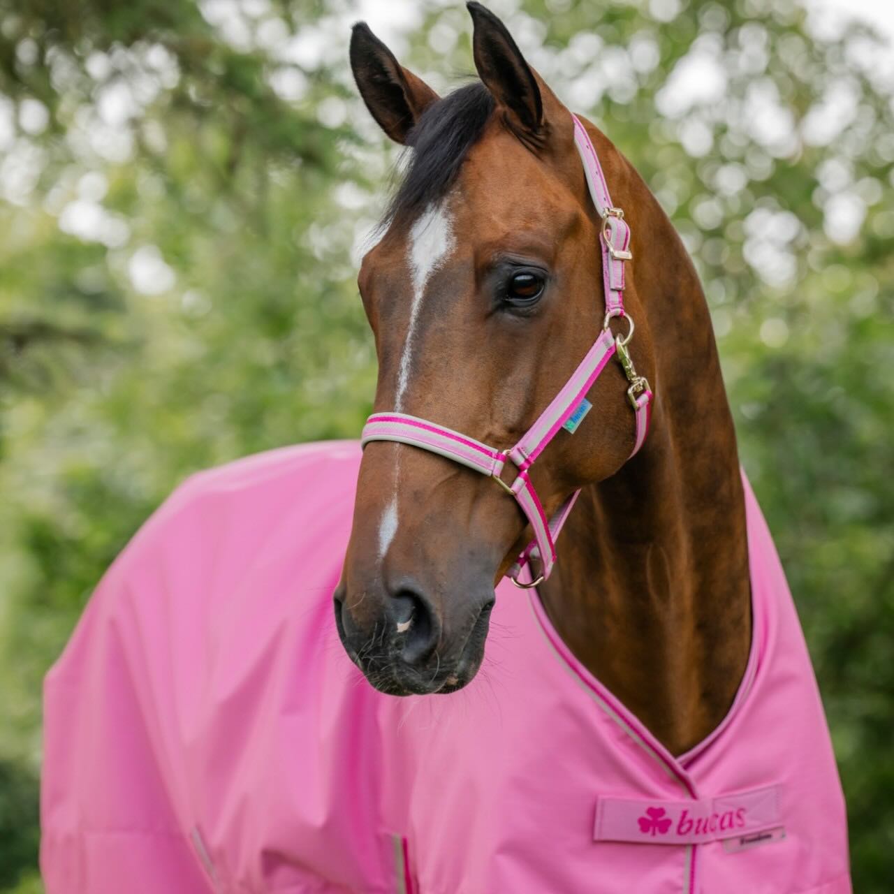Outdoordecke 0g Freedom Turnout Light Regendecke