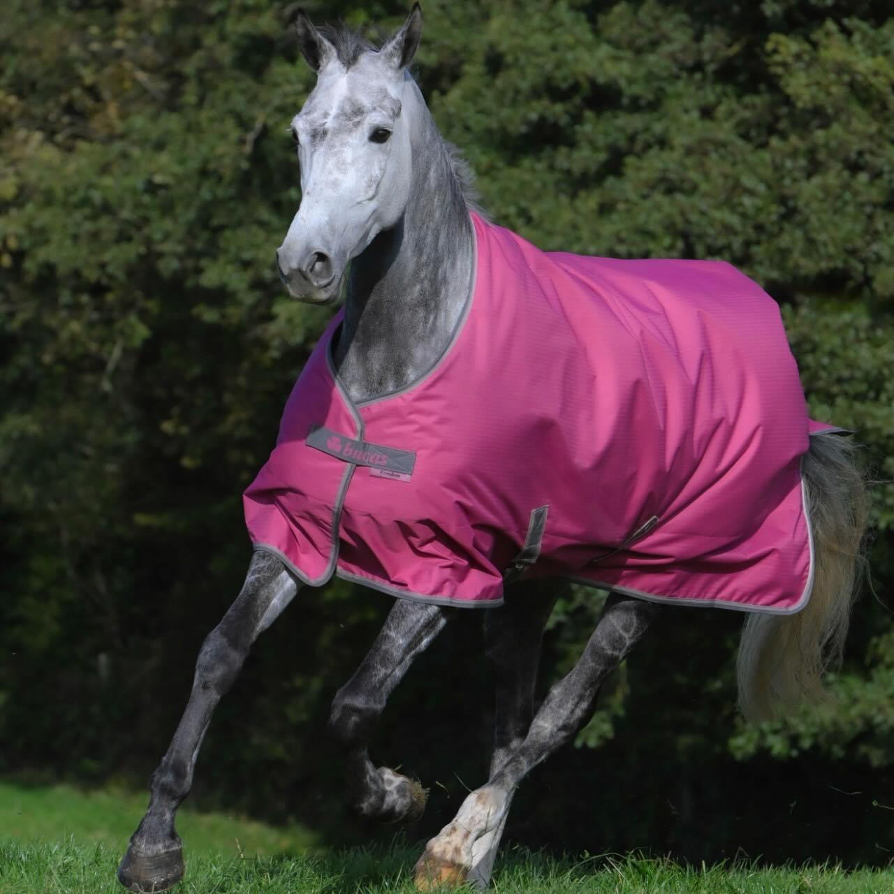 Outdoordecke 0g Freedom Turnout Light Regendecke