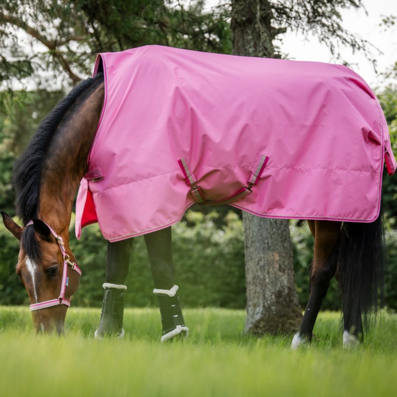Outdoordecke 0g Freedom Turnout Light Regendecke