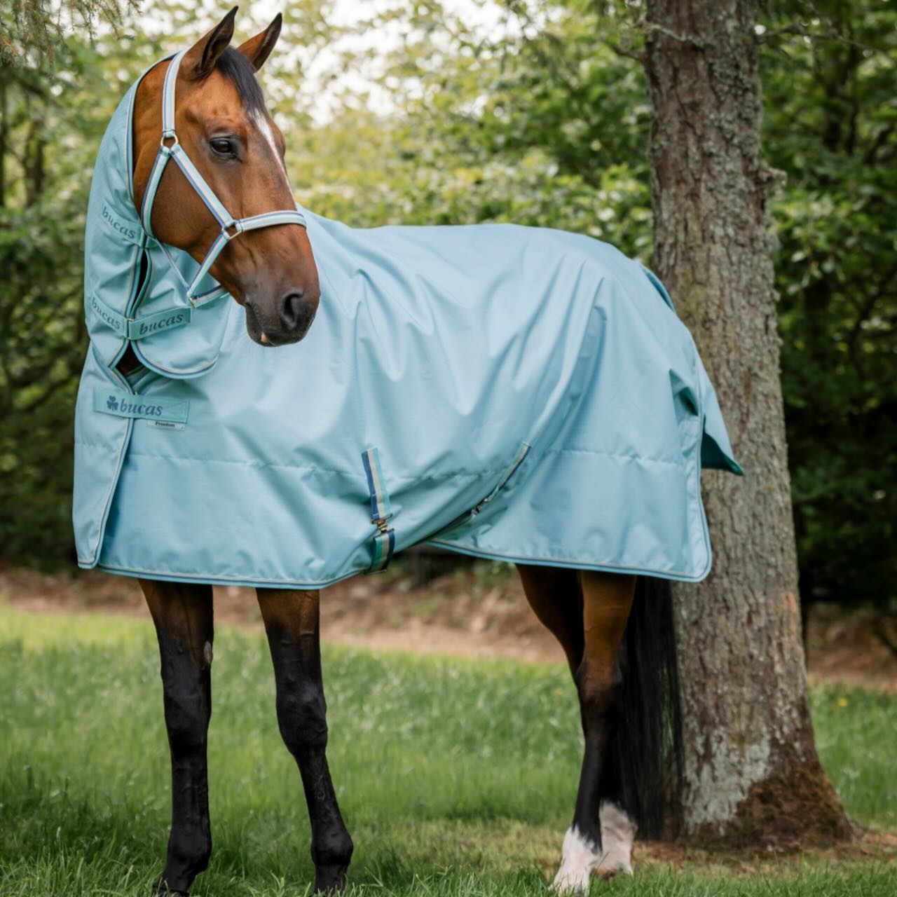 Outdoordecke 0g Freedom Turnout Light Regendecke