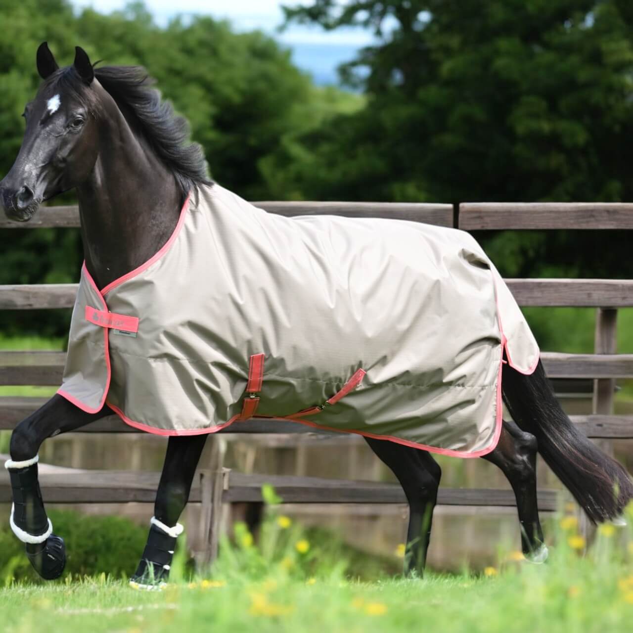 Outdoordecke 0g Freedom Turnout Light Regendecke