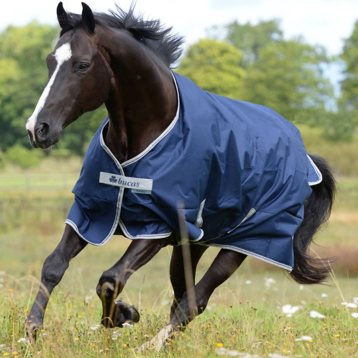Outdoordecke 150g Freedom Turnout Weidedecke