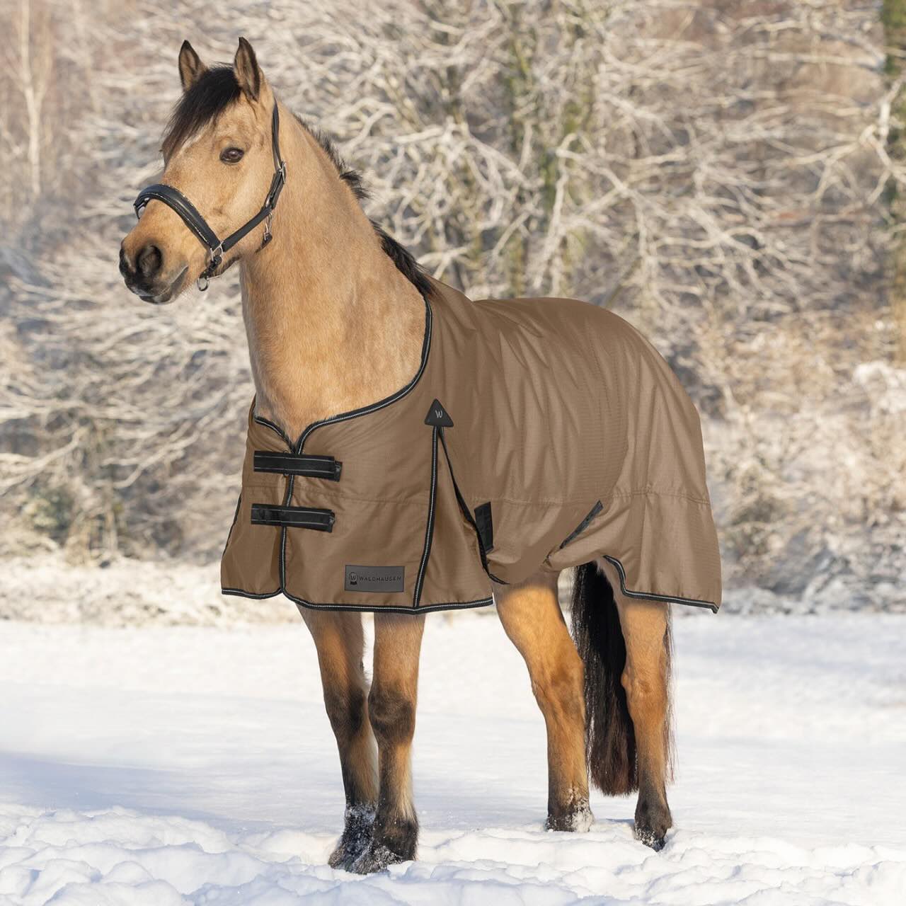 Outdoordecke 200g Arctic Weidedecke
