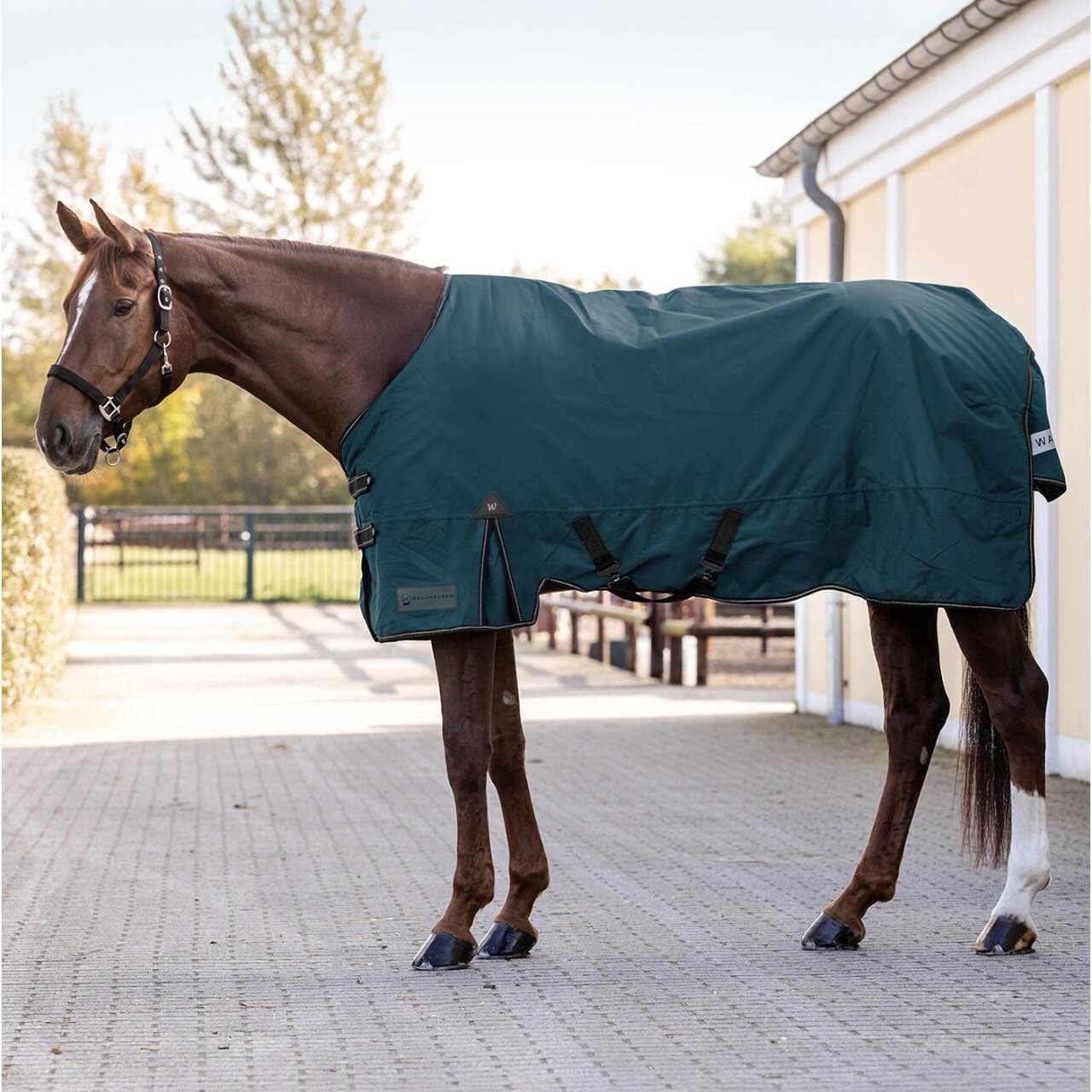Outdoordecke 200g Arctic Weidedecke