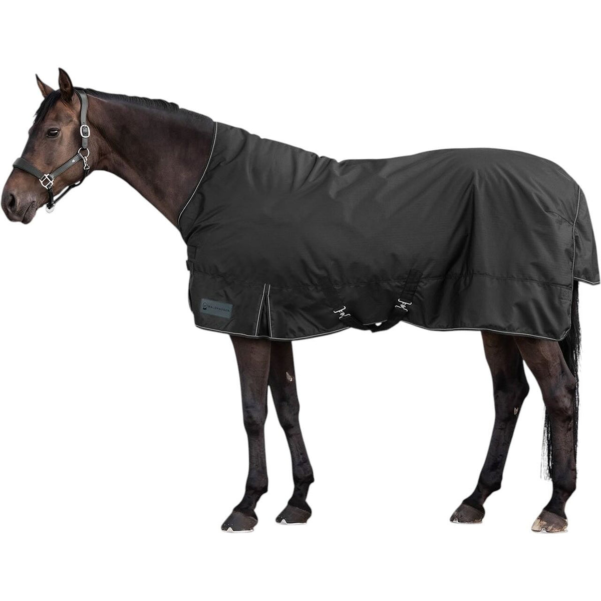 Outdoordecke 200g Nordic High Neck Weidedecke