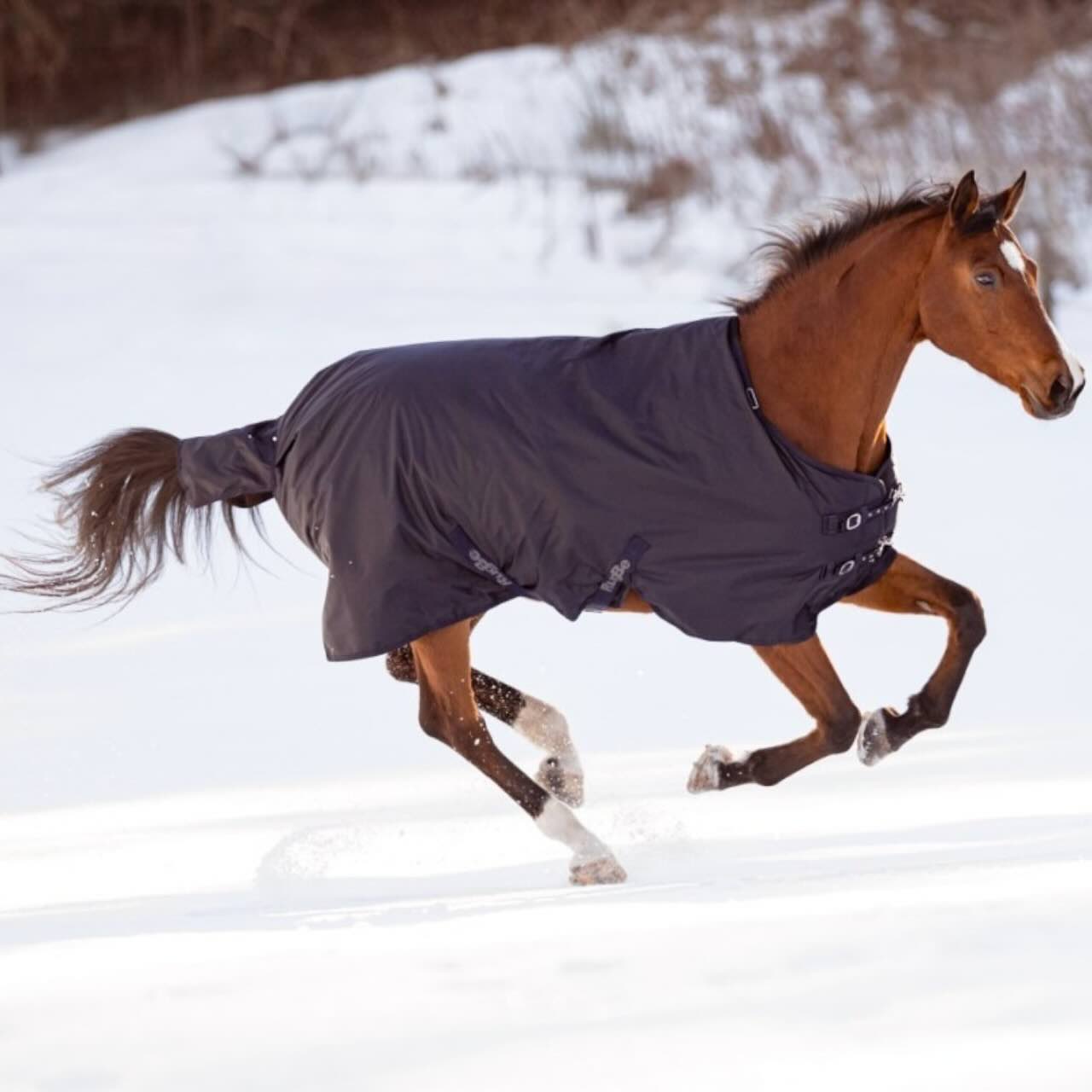 Outdoordecke 200g RugBe Winterdecke